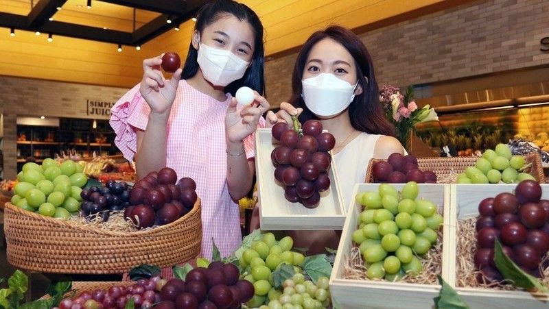 루비로망연합.jpg