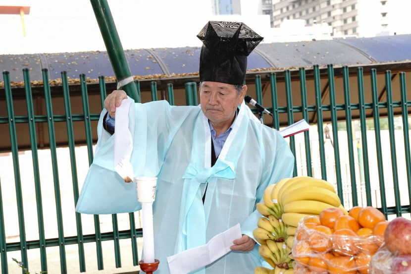 대구 수성구 범어1동 150년 지켜온 참느릅나무…11일 노거수 기리는 동제(洞祭) 열려