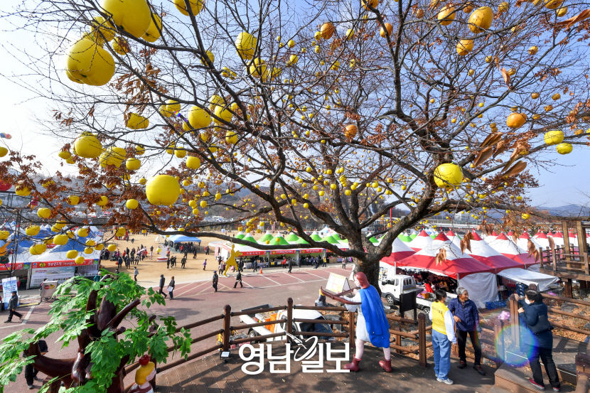 [대한민국 선진농업 1번지, 산소 카페 청송 .15·(끝)] 청송사과축제…지역축제서 전국축제로…황금빛 사과, 세상을 밝히다