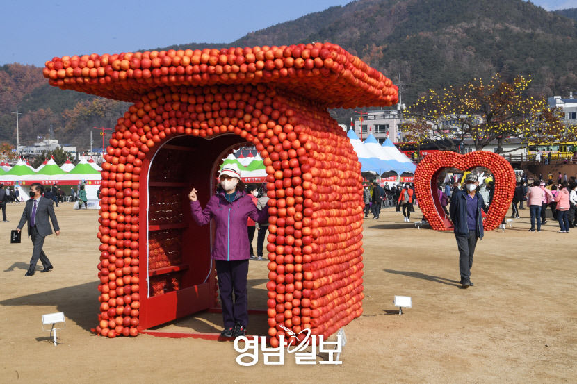[대한민국 선진농업 1번지, 산소 카페 청송 .15·(끝)] 청송사과축제…지역축제서 전국축제로…황금빛 사과, 세상을 밝히다