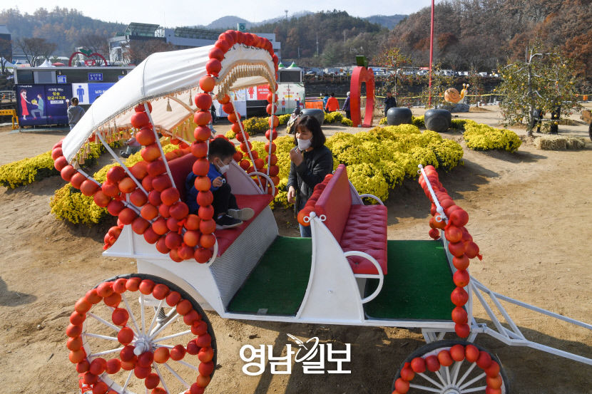 [대한민국 선진농업 1번지, 산소 카페 청송 .15·(끝)] 청송사과축제…지역축제서 전국축제로…황금빛 사과, 세상을 밝히다