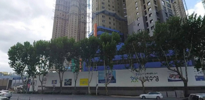 [독자와 함께!] 재개발 칼날에 잘려나가는 가로수들