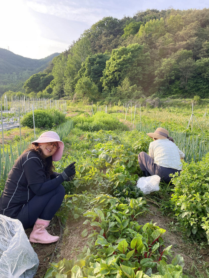 3공동체텃밭