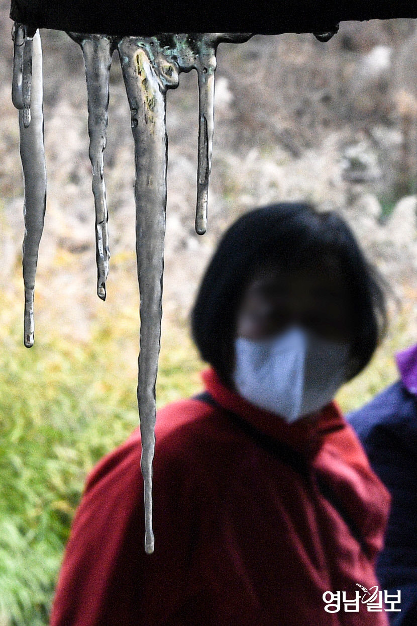 [포토뉴스] 한파경보 11월에 맺힌 고드름