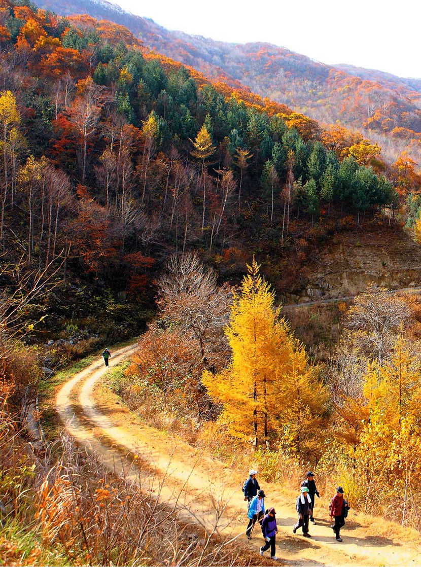 [김천 가볼만한 곳] 산행 즐기고 싶으면 모퉁이로…김천 수도산 녹색 모티길