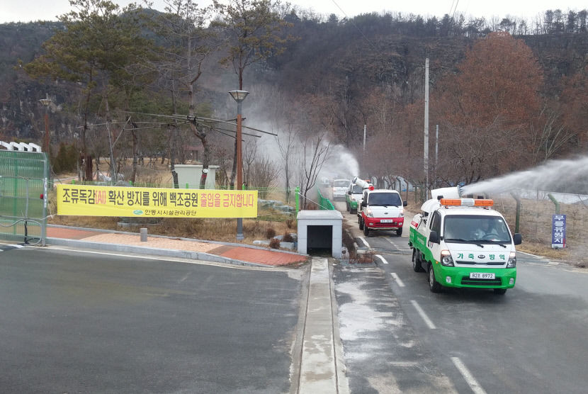 안동 백조 공원 AI 발생에 따른 차단방역 총력