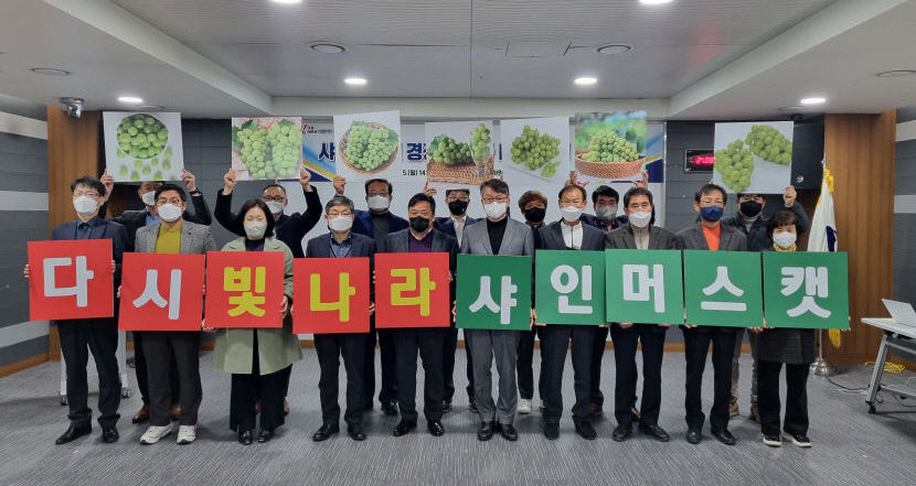 한 때 열풍 샤인머스켓, 2년 새 가격40%나 떨어져···전국 포도생산 1위 경북도, 해결방안 모색