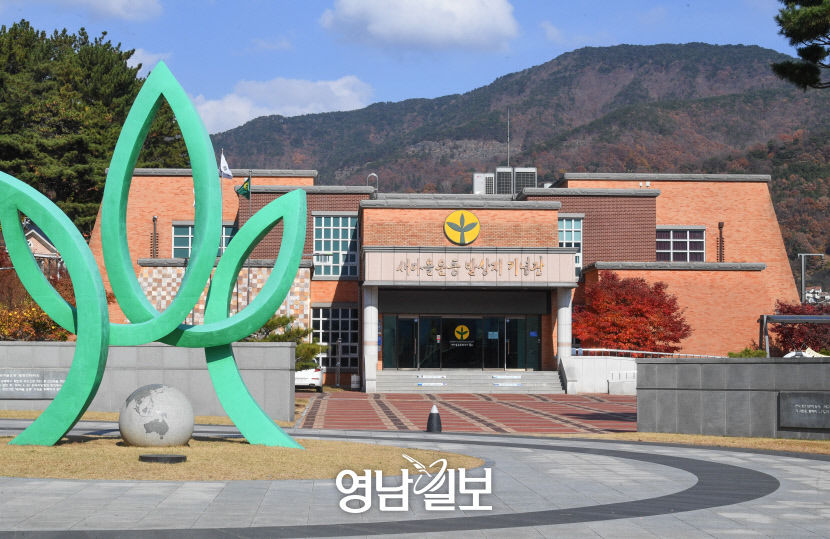 [스토리가 있는 청도 힐링 여행 .4] 청도읍 새마을로…지눌의 은행나무 지팡이는 천년 세월 巨木이 돼 절집을 지키고…