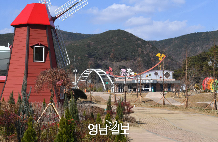 [스토리가 있는 청도 힐링 여행 .4] 청도읍 새마을로…지눌의 은행나무 지팡이는 천년 세월 巨木이 돼 절집을 지키고…