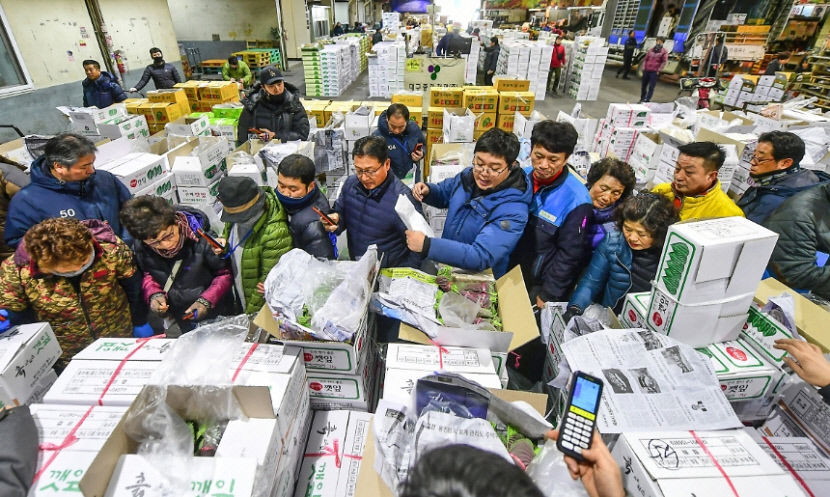 대구농수산물도매시장 유통공사로 전환 움직임…市 검토 초기 단계