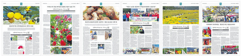 윤경희 청송군수 청송 황금사과, 과일시장 새 성장동력…전국 최고 브랜드로 키울 것