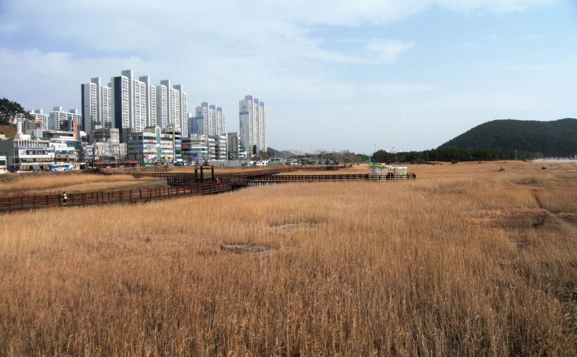 [주말&여행] 부산 다대포해수욕장…온몸 던진 강과 온몸으로 껴안은 바다, 그들이 만든 세계를 지키고 서다