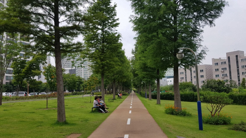 포항 철길숲, 대한민국을 대표하는 모범적인 도시숲으로 인정받았다