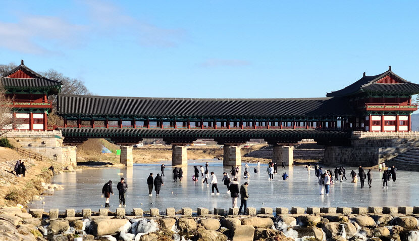 [포토뉴스] 경주 남천에서 겨울 낭만 만끽