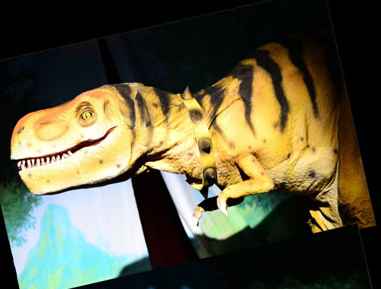 공룡애니멀쇼2(1)