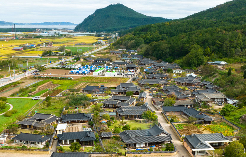 [영덕 가볼만한 곳] 영덕 괴시마을 볼거리 가득…양반 가옥 옛 모습 그대로