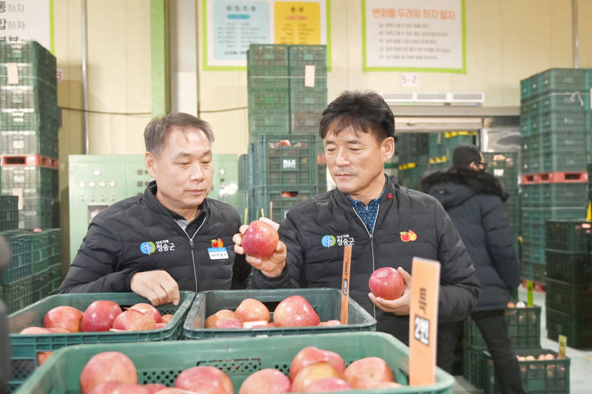 청송군 농산물산지공판장, 새해 경매 활기