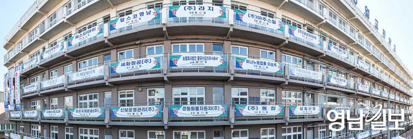 [포토뉴스] 빼곡한 취업 축하 현수막