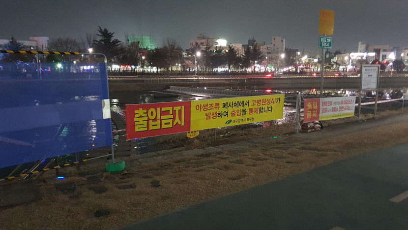 대구 신천 야생조류서 고병원성 AI 검출