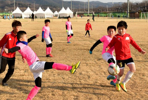 경주 겨울철 전지 훈련지로 인기…3개 종목 100개 팀, 2천 명의 선수 방문