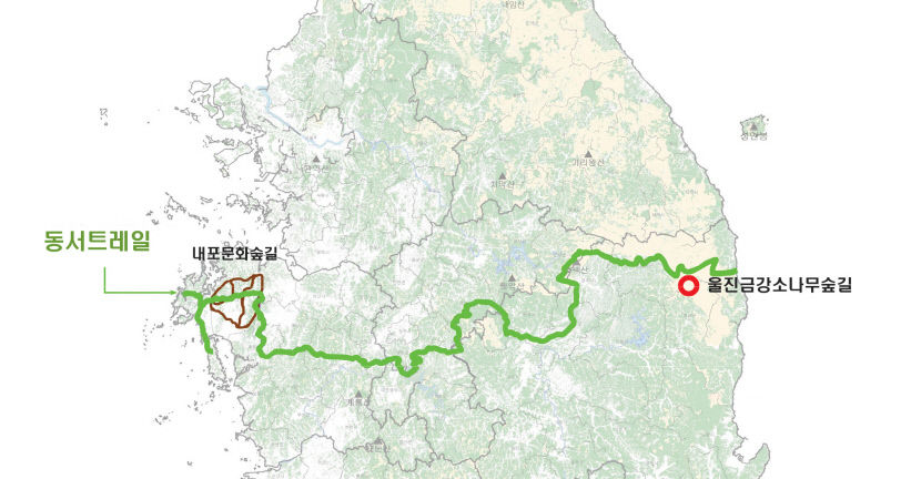 산불 피해 입은 울진에1천억원 규모 국립기관 들어서... 산림 복원 프로젝트 본격 가동