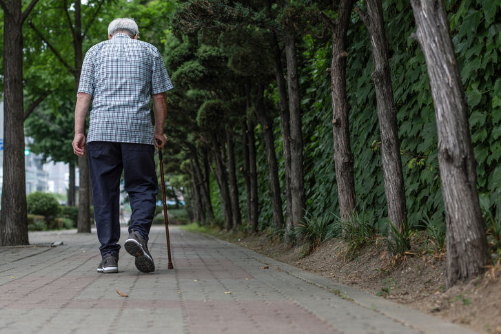 OECD 2047년 대구 생산가능인구 43.4%↓·경북 고령인구비율 45.4%
