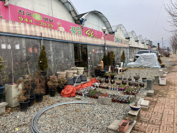 3년 만 대면 졸업식에도 화훼농가는 울상···각종 지원도 중요하지만 경기 안정 시급