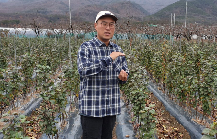 [창농 희망 청년 키운다-월급받는 청년농부제]  이광열 상일농업 대표 기자 하며 농업에 관심…가업 이어받아 연 10만 묘목 생산