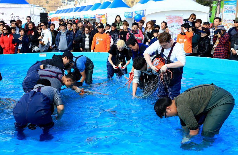 4년 만에 돌아온울진대게, 그대에게 2023년 울진대게와 붉은대게축제