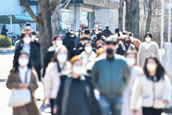 벚꽃피는 순서대로 망한다더니…대학가 속설 현실화 되나