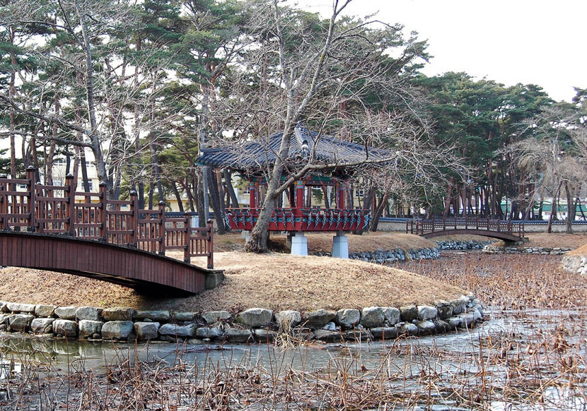 [주말&여행] 경북 울진 월송정...화랑 보듬고, 파랑 맞서고…경외감 주는 검푸른 송림