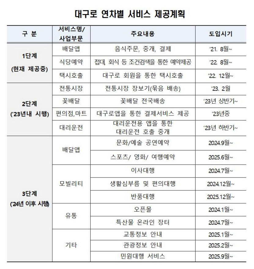 [뉴스분석] 요동 치는 페이 시장…대구로페이 운명은