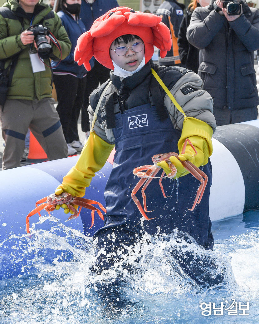 [포토뉴스] 영덕대게축제 대게 잡아 올리는 어린이