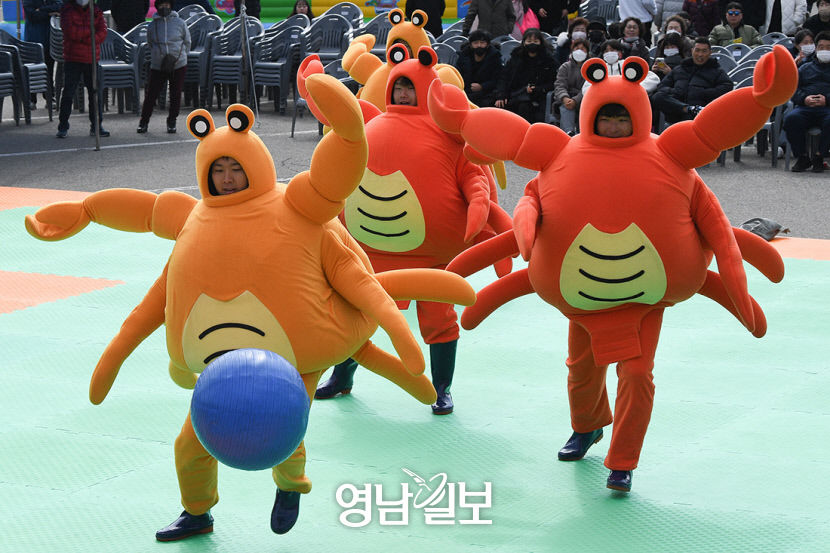 [포토뉴스] 대게 싸움에 대게 등 터진다~