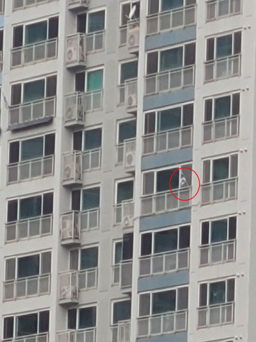 태극기1.jpg