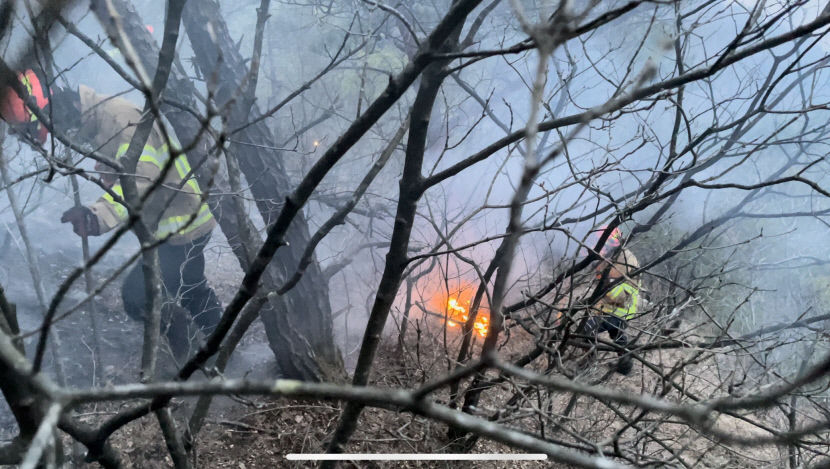 예천군 산불 17시간만에 진화…산불영향구역 37ha