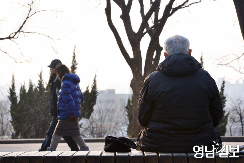 [단독] 대구 3가구 중 1가구는 나 혼자 산다…남구는 절반 넘어 52%