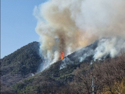 김천 개령면에 원인불명 산불…당국, 산불 1단계 발령