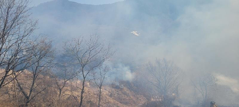 경북 영천 야산 원인불명 산불…확산 방지 위해 방어선 구축