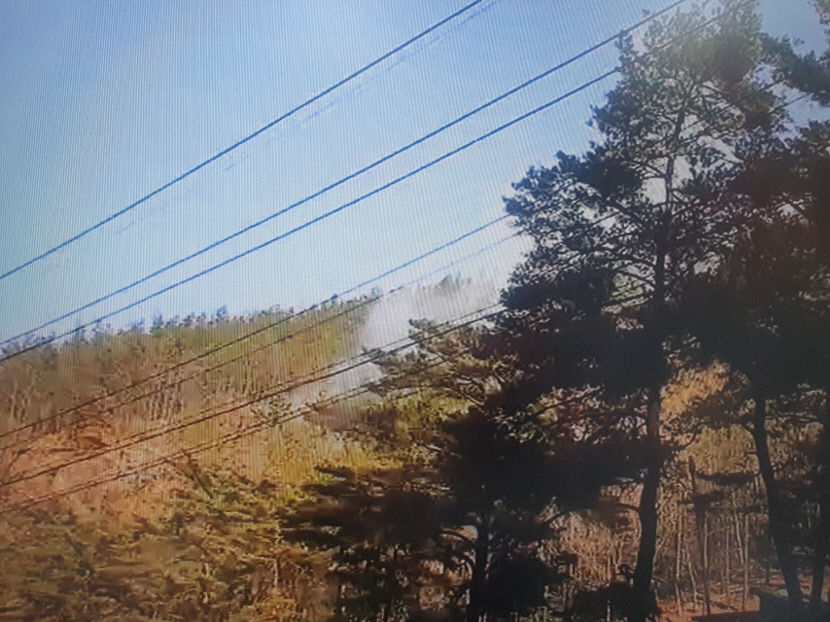 영양군 산불 4시간만에 주불잡혀… 산림 5㏊ 훼손