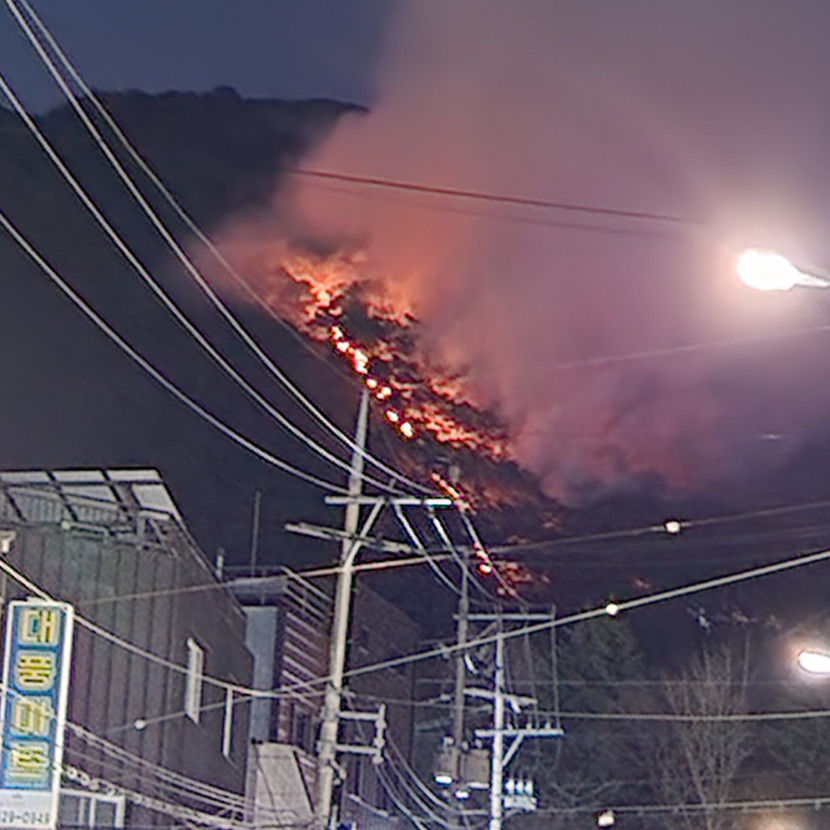 [2보] 대구 앞산에서 산불…날 어두워지고 바람 탓에 진화 난항
