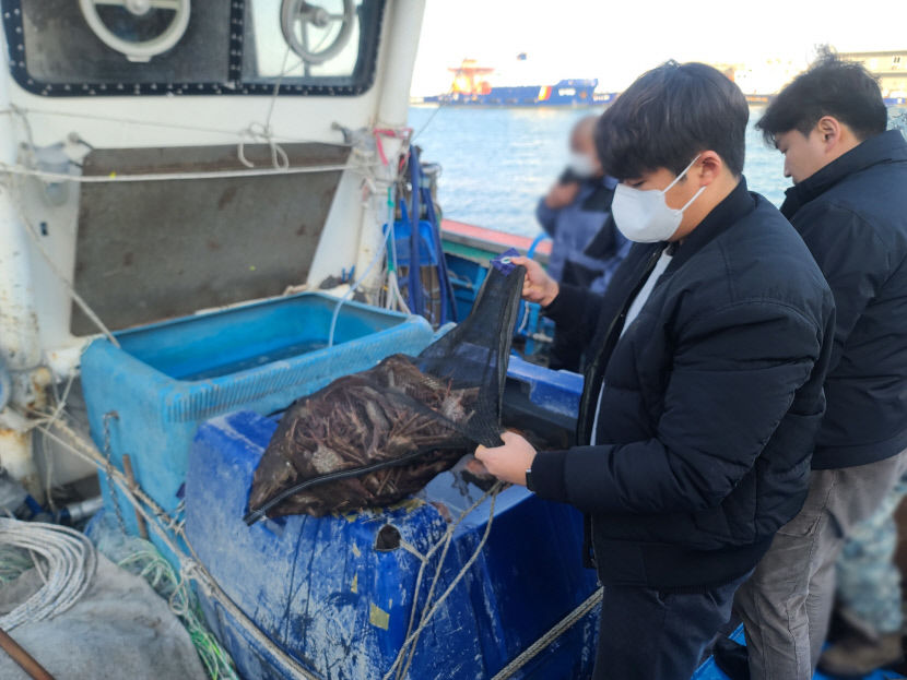 포항해경 3개월간 대게 불법포획 단속…5건 적발