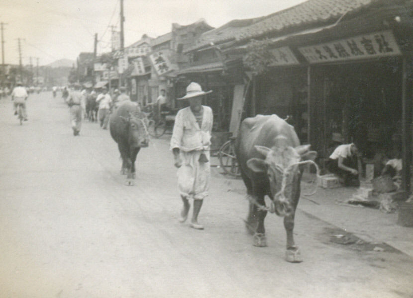 대구근대역사관 주한 미군 존슨의 눈에 비친 대구, 1953~55년 사진전 개최