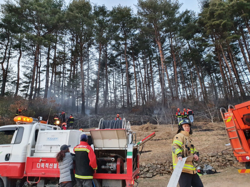 울진 금강송면 산불 발생, 주불 진화 완료