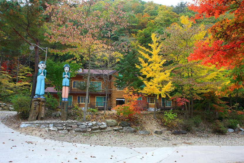 [울진 가볼만한 곳] 통고산자연휴양림서 마음 치유…도심에서의 스트레스 싹~