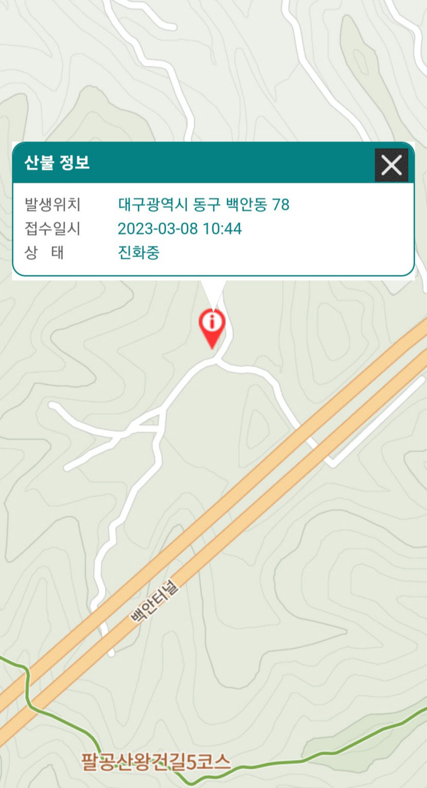 [속보] 대구 동구 백안동 야산 산불