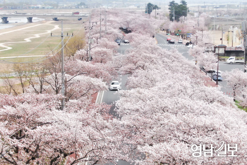 영남.jpg