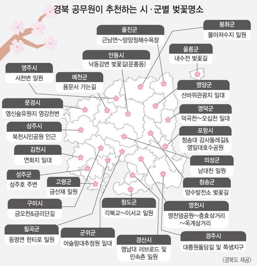 상춘객 발걸음 재촉하는 대구지역 봄꽃 명소는 어디?