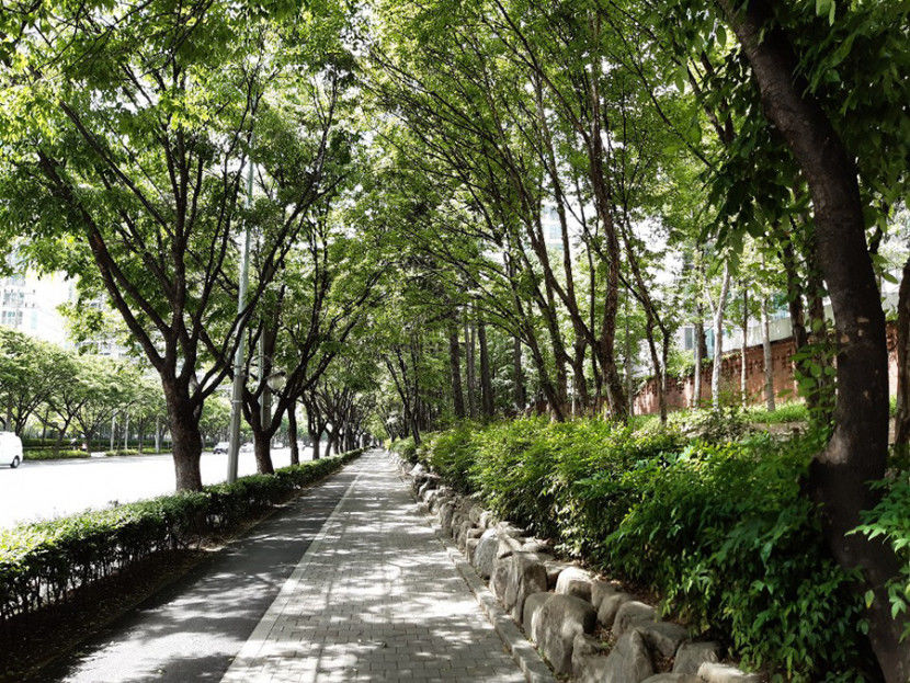 대구 달서구, 그린시티 사업으로 친환경도시 발돋움