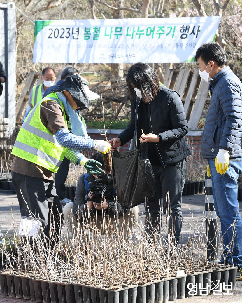 [포토뉴스] 나무 받아가세요 수성구청 나무 나누어주기 행사